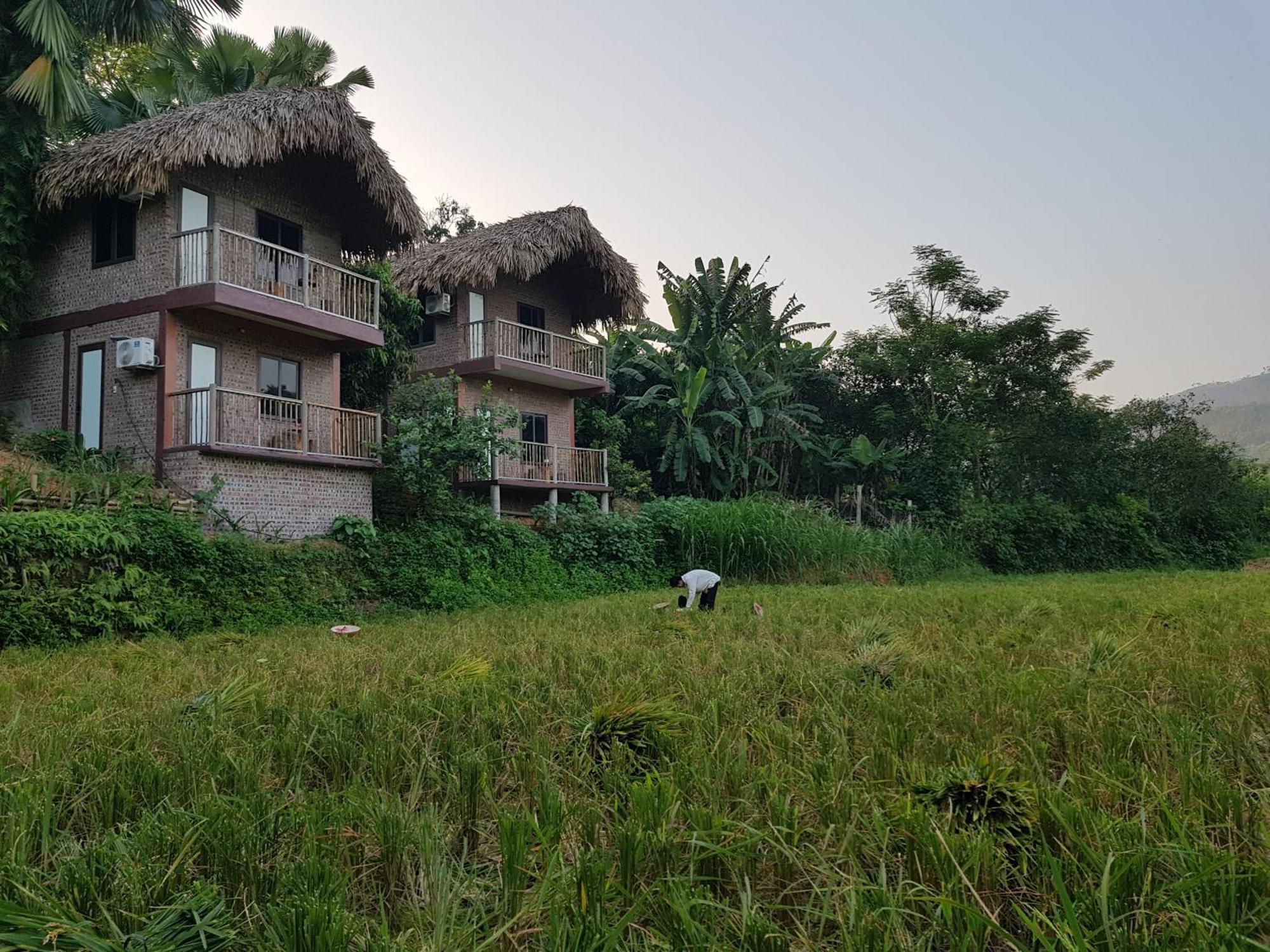 Vu Linh Palm House Homestay - Bungalow Yen Bai Dış mekan fotoğraf