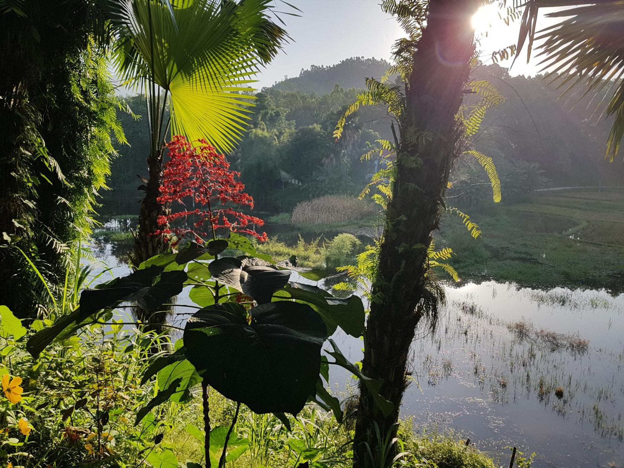 Vu Linh Palm House Homestay - Bungalow Yen Bai Dış mekan fotoğraf