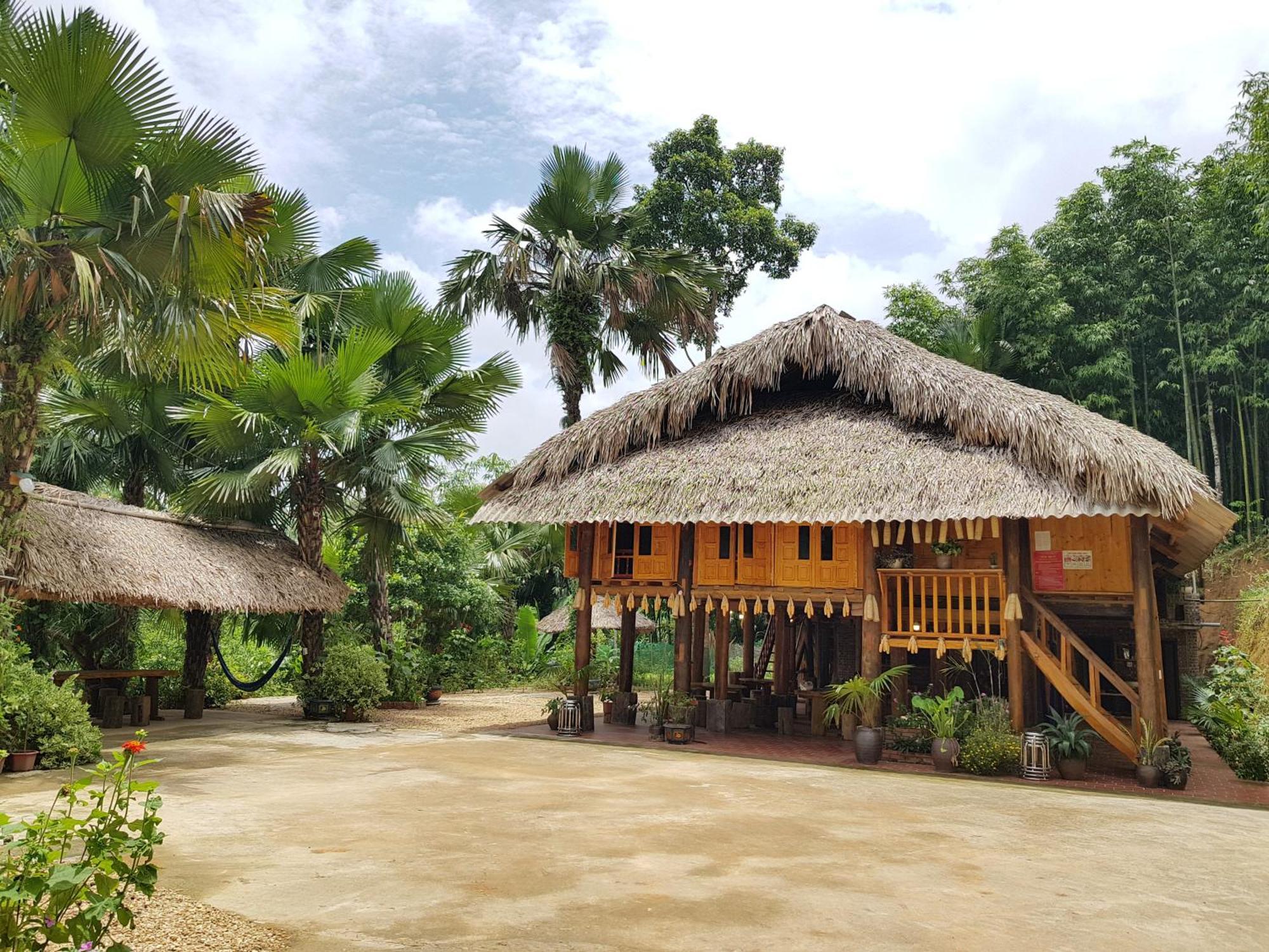 Vu Linh Palm House Homestay - Bungalow Yen Bai Dış mekan fotoğraf