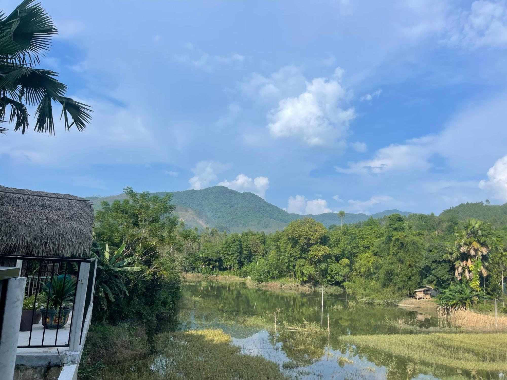 Vu Linh Palm House Homestay - Bungalow Yen Bai Dış mekan fotoğraf