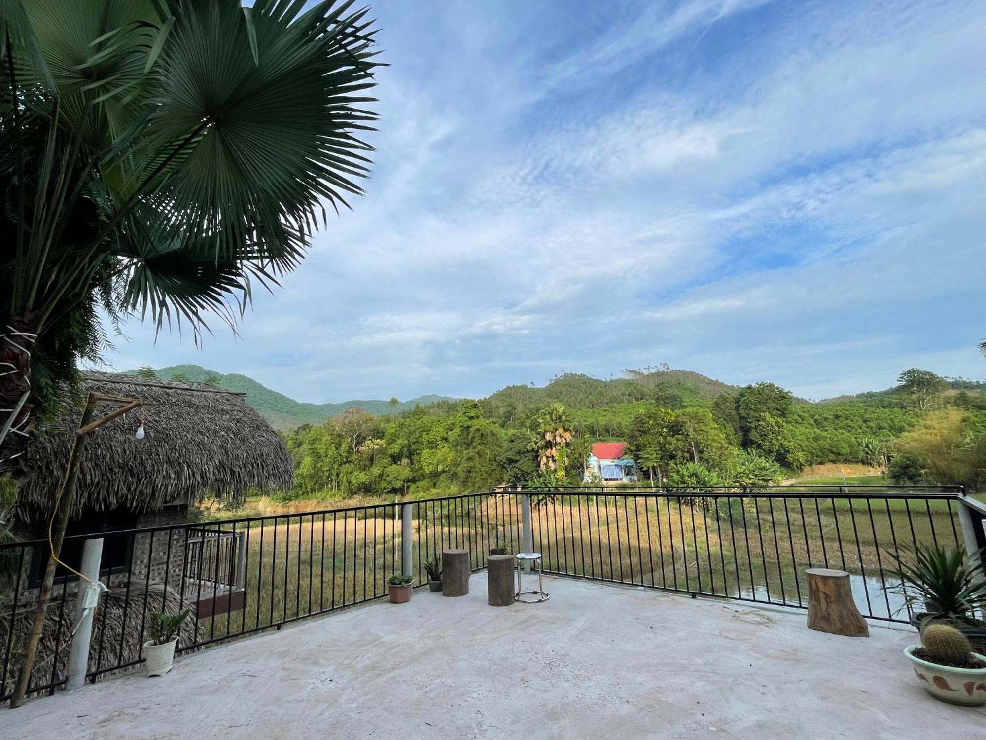 Vu Linh Palm House Homestay - Bungalow Yen Bai Dış mekan fotoğraf